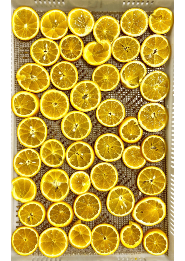 Polvo de limón Ecológico (Origen España)